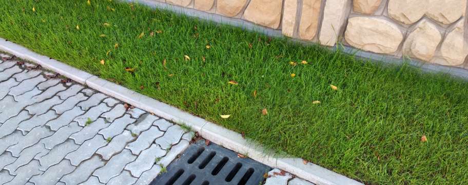 What Happens When Artificial Grass Gets Wet?