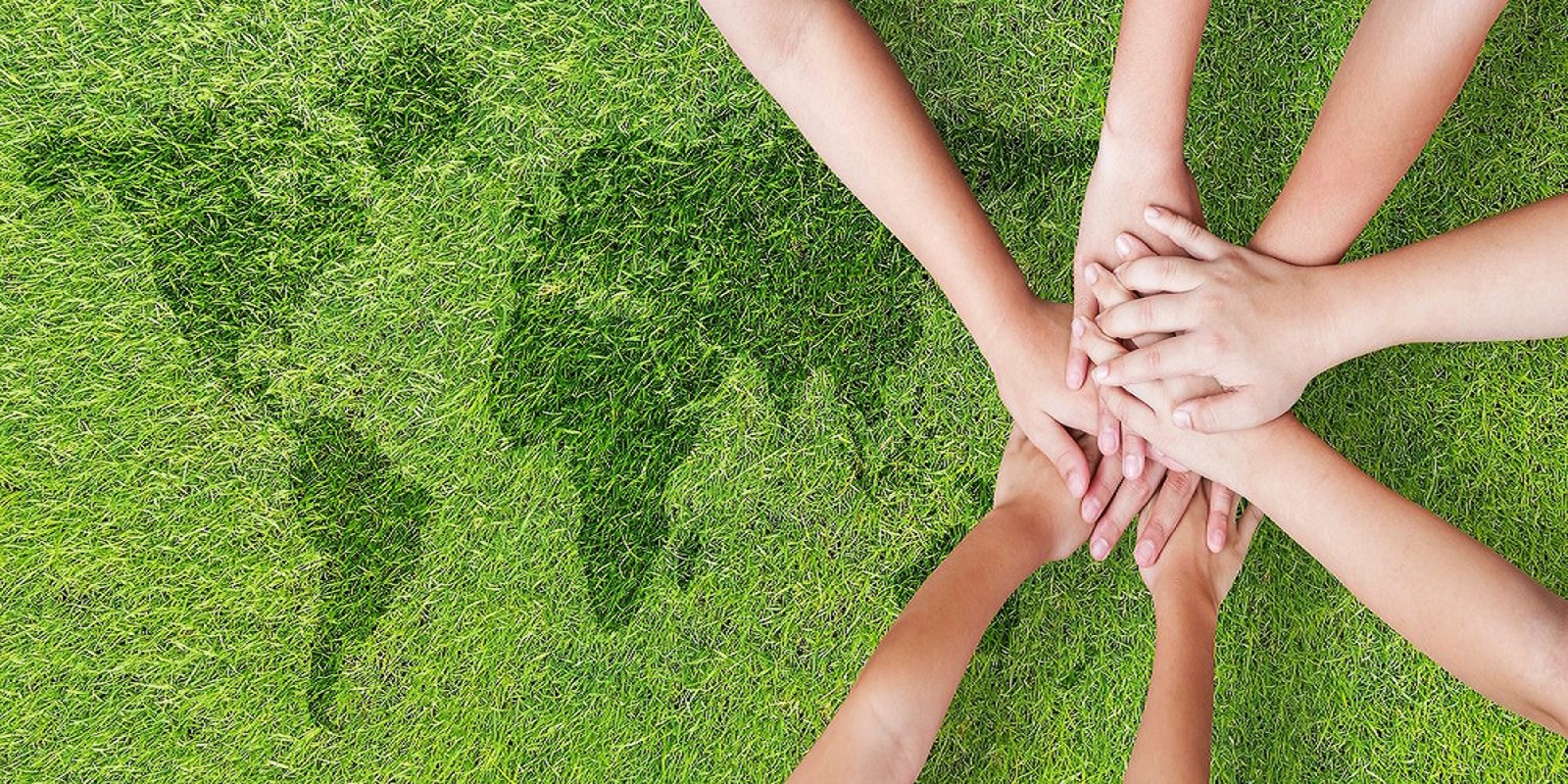 artificial grass for schools